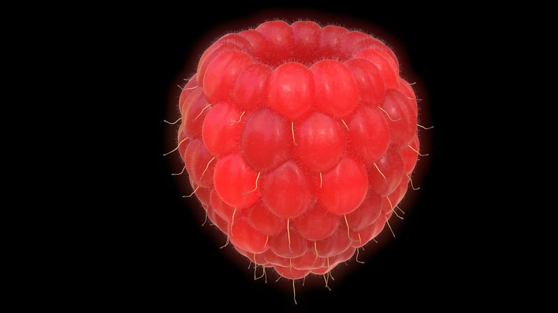 Raspberry Canes